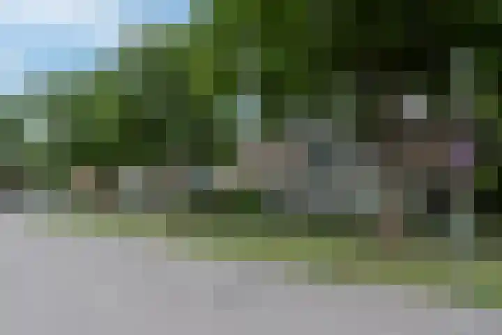 Esdoornlaan 208 Rozenburg thumbnail 7