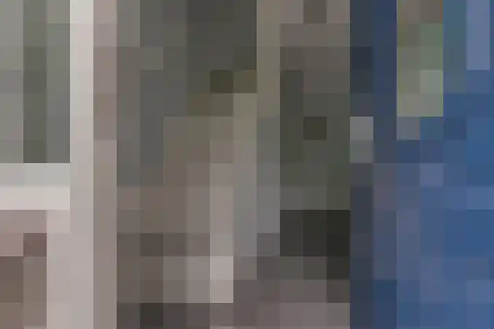 Esdoornlaan 208 Rozenburg thumbnail 8