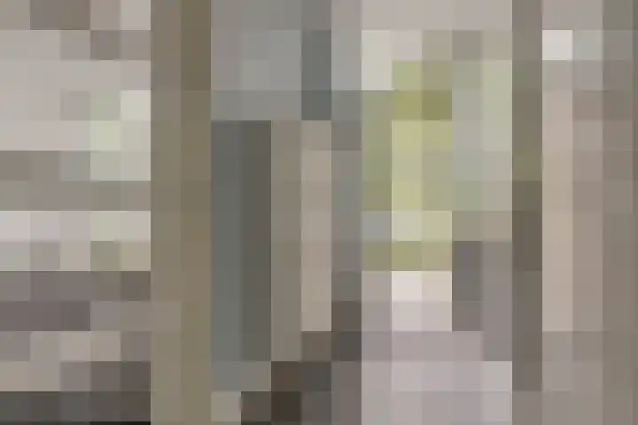 Esdoornlaan 208 Rozenburg thumbnail 9