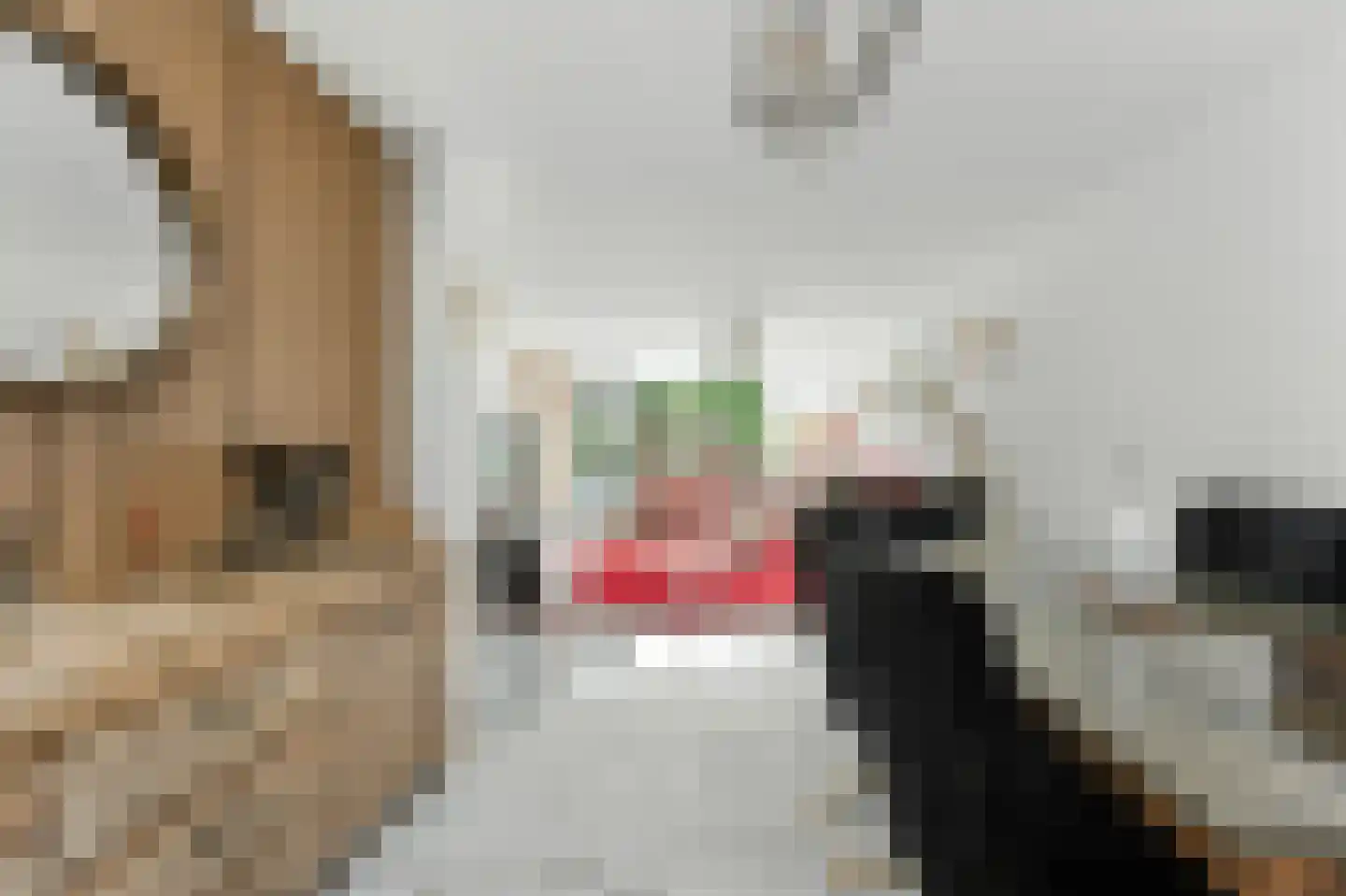 Esdoornlaan 21 Alblasserdam thumbnail 11