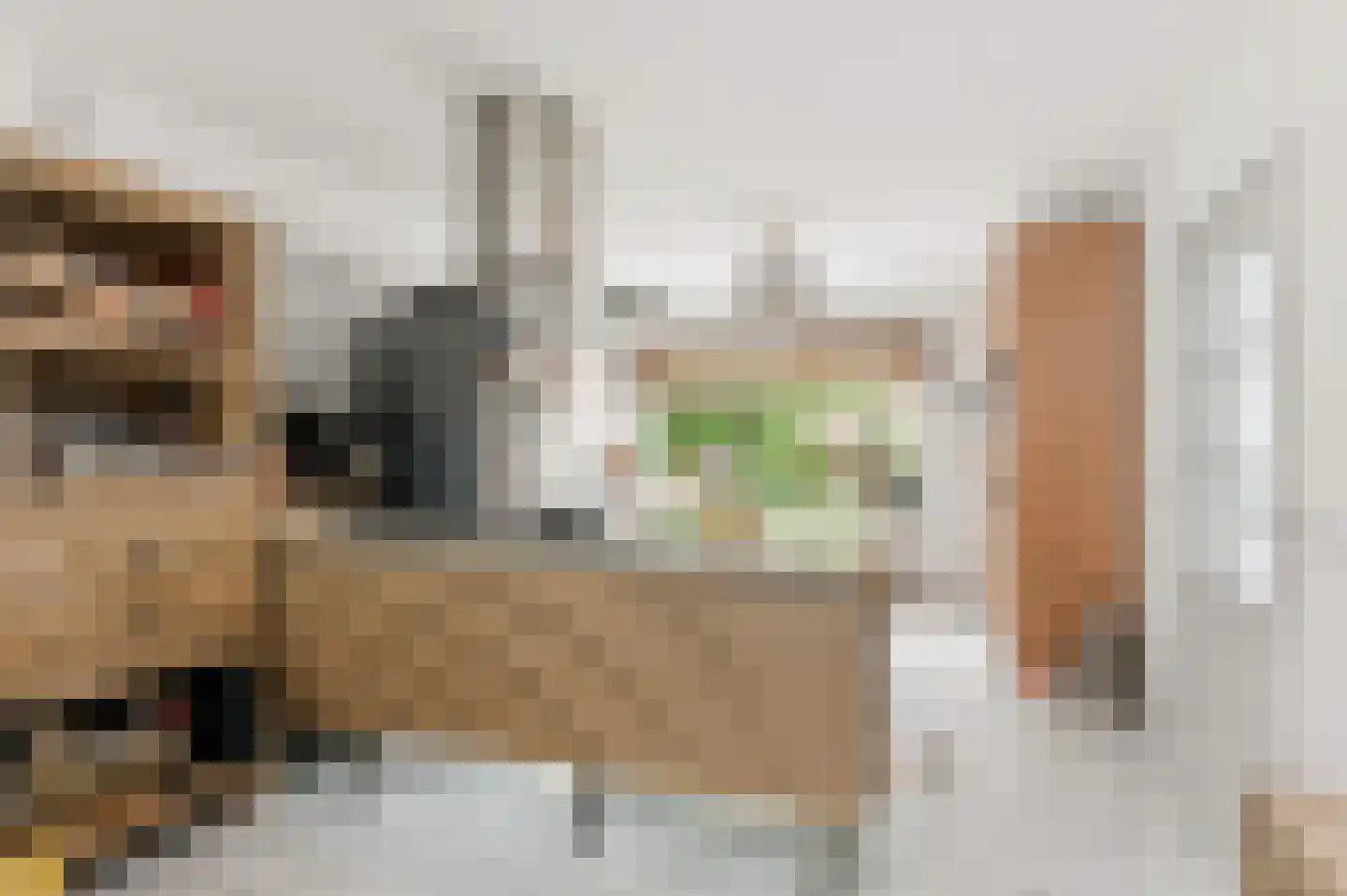 Esdoornlaan 21 Alblasserdam thumbnail 12