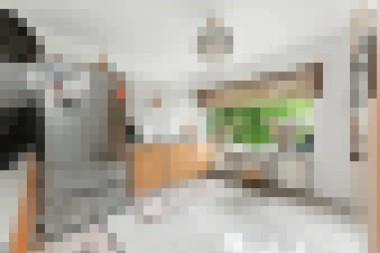 Esdoornlaan 21 Alblasserdam thumbnail 13