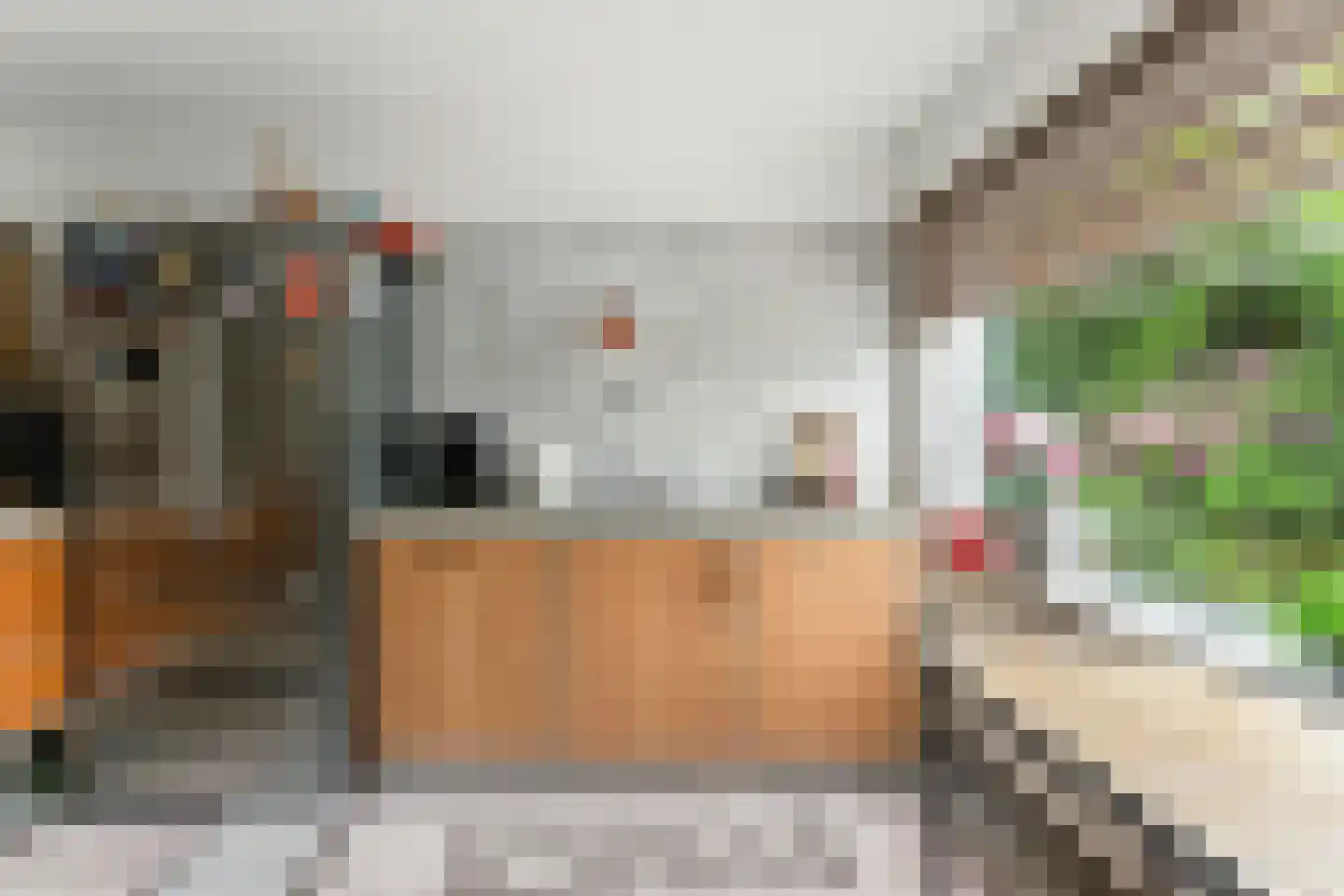 Esdoornlaan 21 Alblasserdam thumbnail 14