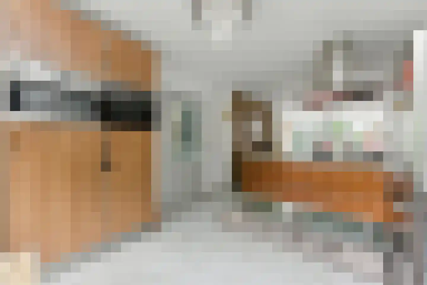Esdoornlaan 21 Alblasserdam thumbnail 16