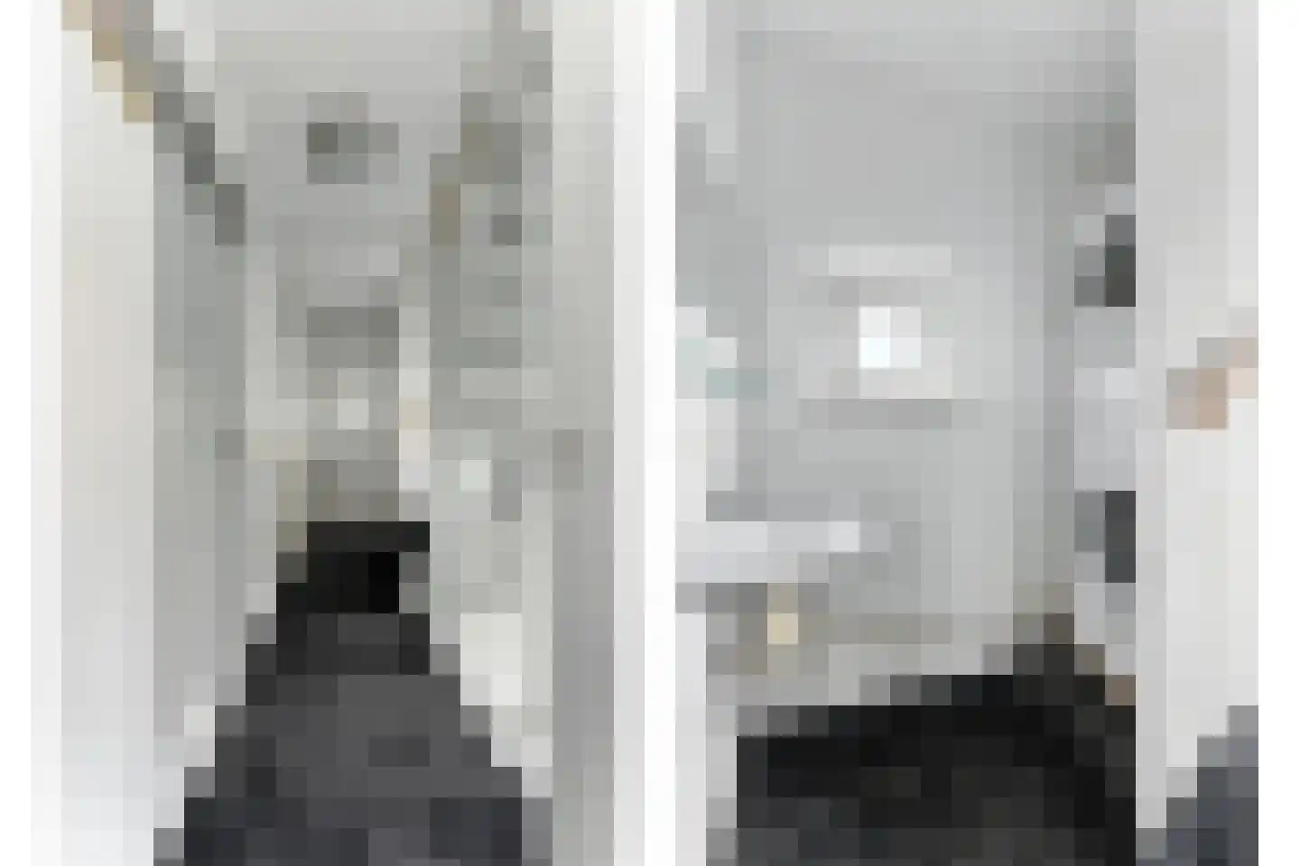 Esdoornlaan 21 Alblasserdam thumbnail 17
