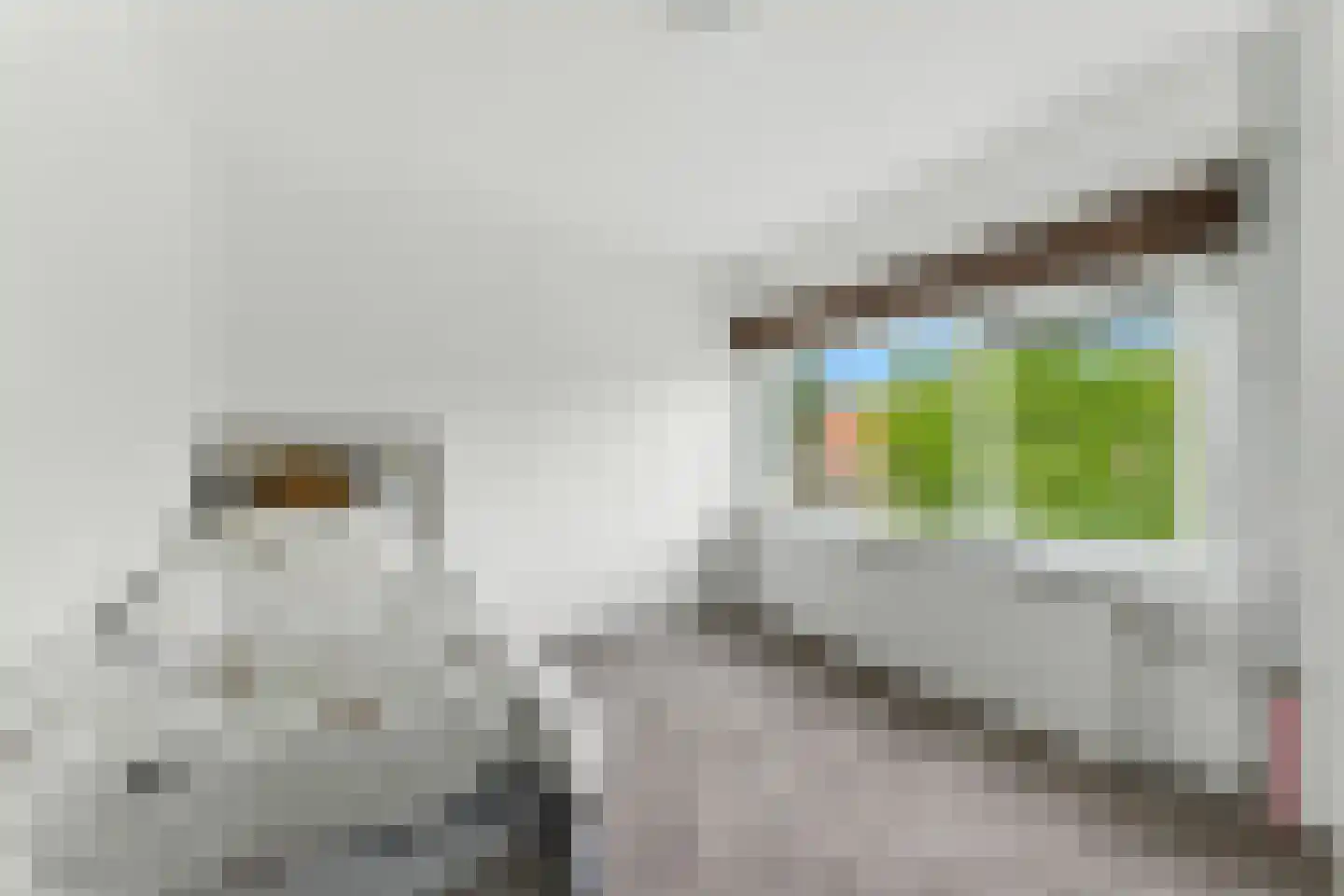 Esdoornlaan 21 Alblasserdam thumbnail 20