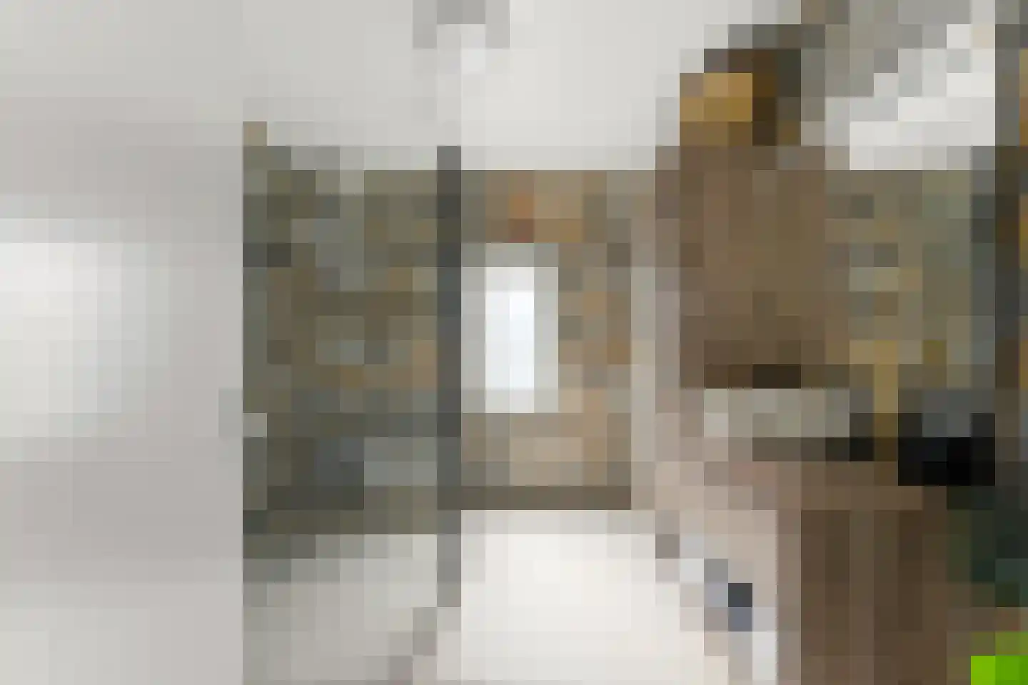 Esdoornlaan 21 Alblasserdam thumbnail 22