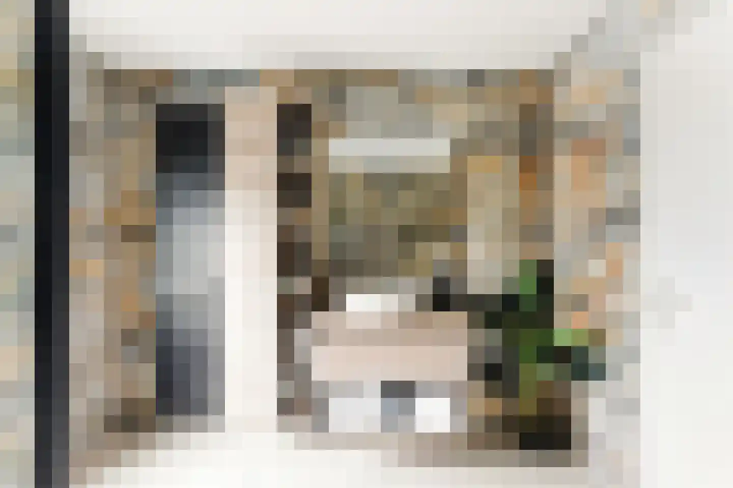 Esdoornlaan 21 Alblasserdam thumbnail 24