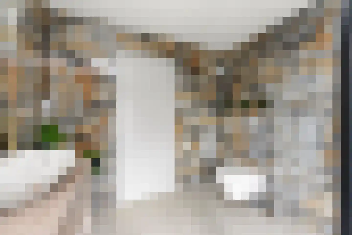 Esdoornlaan 21 Alblasserdam thumbnail 25
