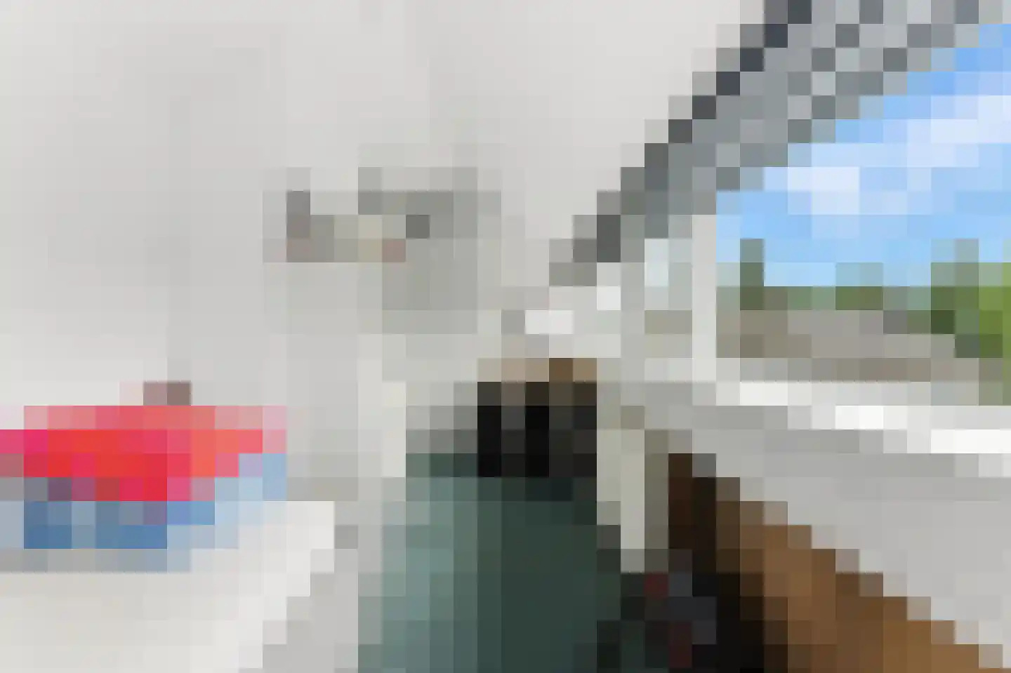 Esdoornlaan 21 Alblasserdam thumbnail 28