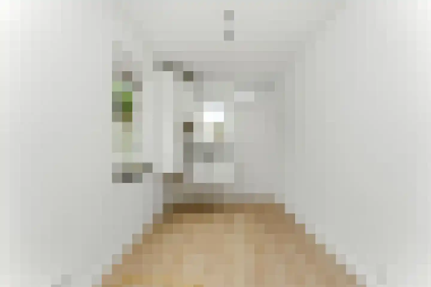 Esdoornlaan 21 Alblasserdam thumbnail 36
