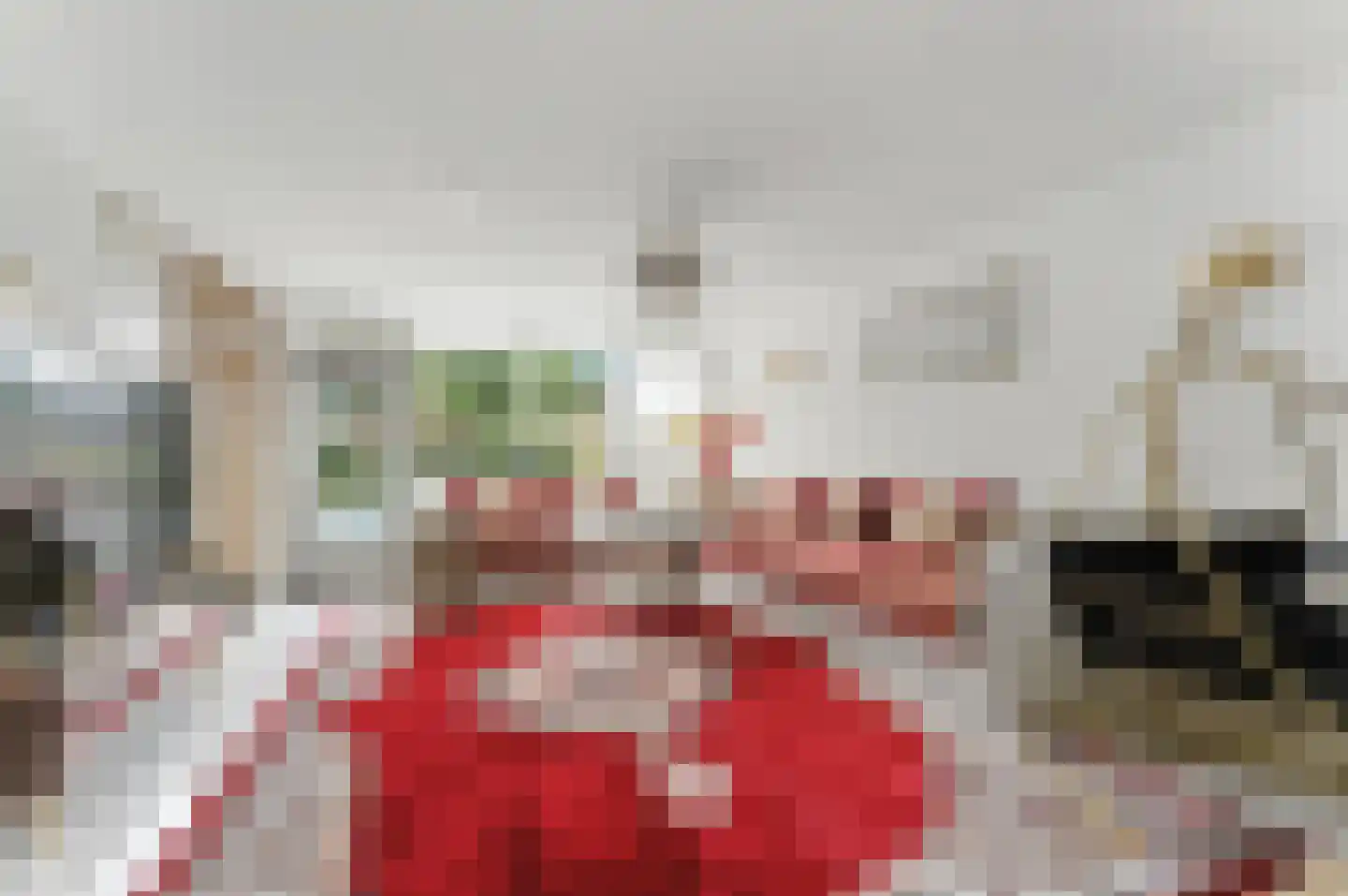 Esdoornlaan 21 Alblasserdam thumbnail 4