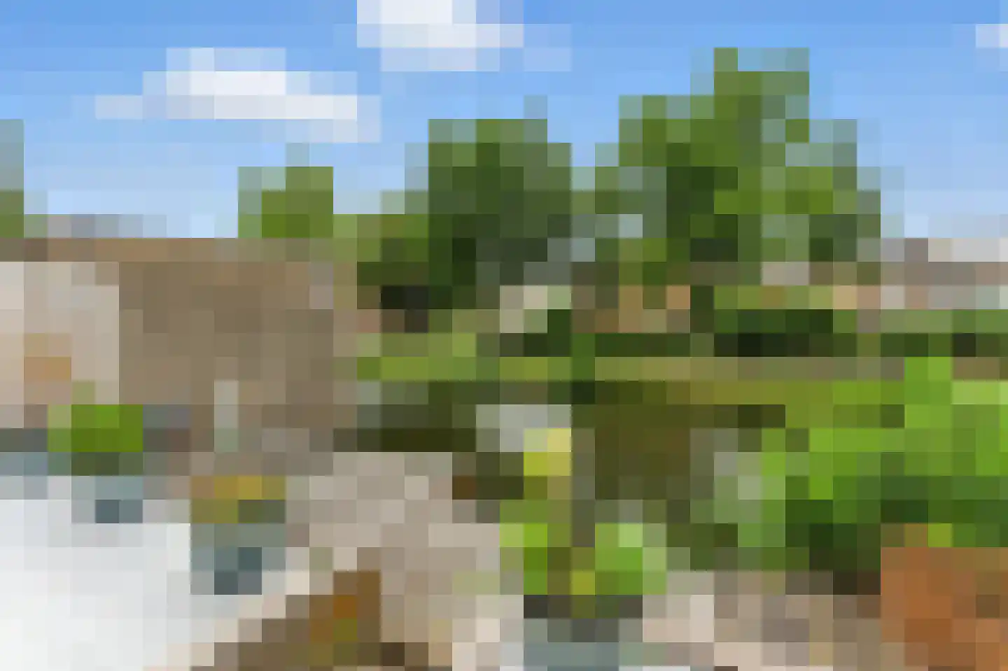 Esdoornlaan 21 Alblasserdam thumbnail 51
