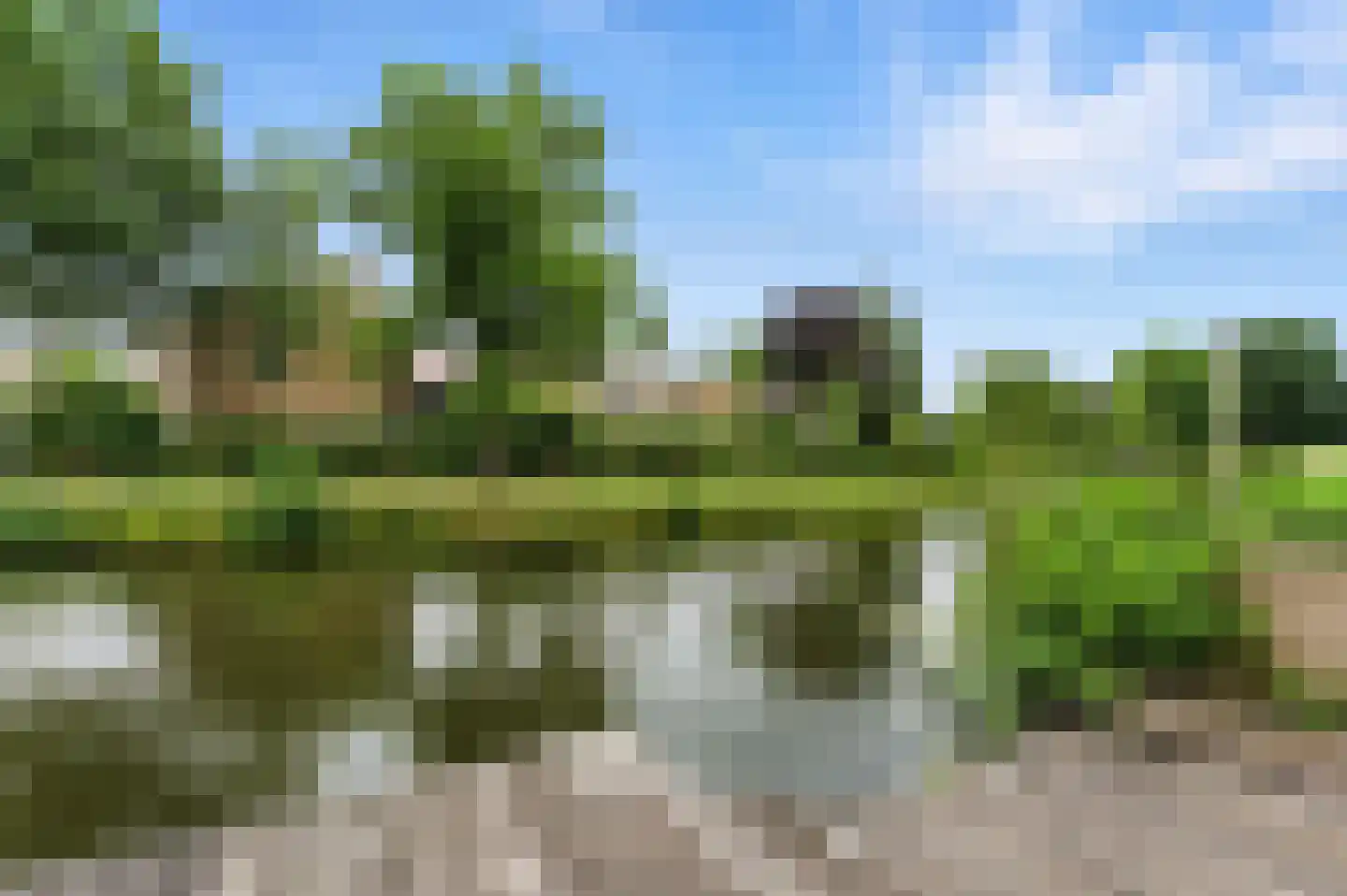 Esdoornlaan 21 Alblasserdam thumbnail 52
