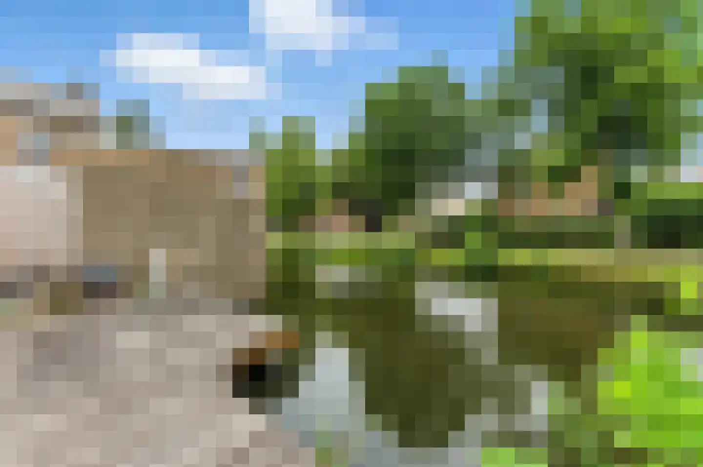 Esdoornlaan 21 Alblasserdam thumbnail 53