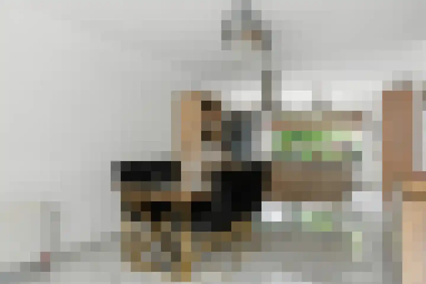 Esdoornlaan 21 Alblasserdam thumbnail 9