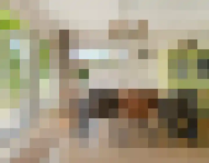 Esdoornlaan 21 Nederhorst den Berg thumbnail 16