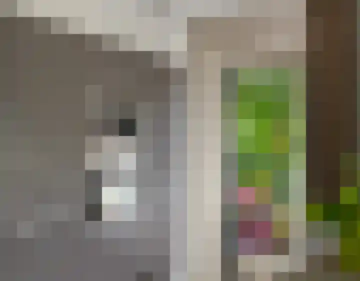 Esdoornlaan 21 Nederhorst den Berg thumbnail 22