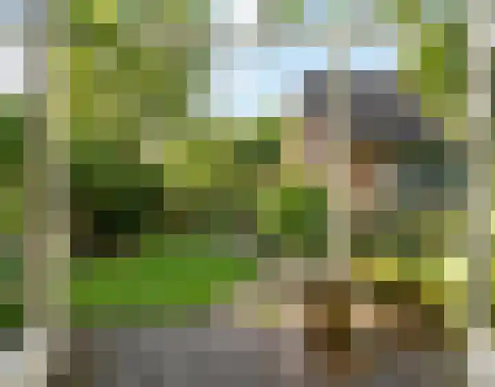 Esdoornlaan 21 Nederhorst den Berg thumbnail 25