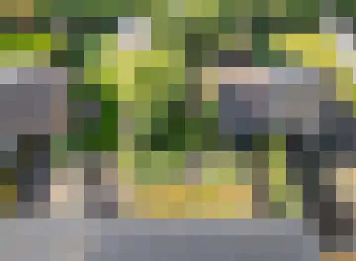 Esdoornlaan 21 Nederhorst den Berg thumbnail 26