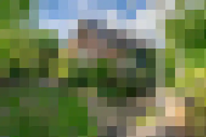 Esdoornlaan 21 Nederhorst den Berg thumbnail 27