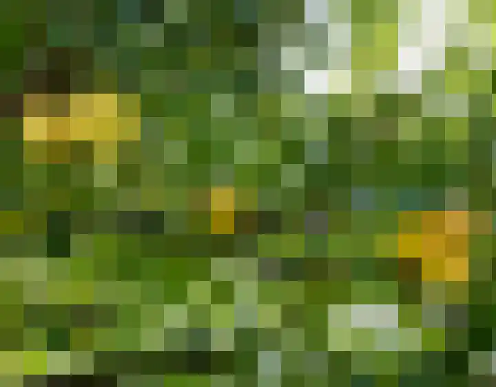 Esdoornlaan 21 Nederhorst den Berg thumbnail 34
