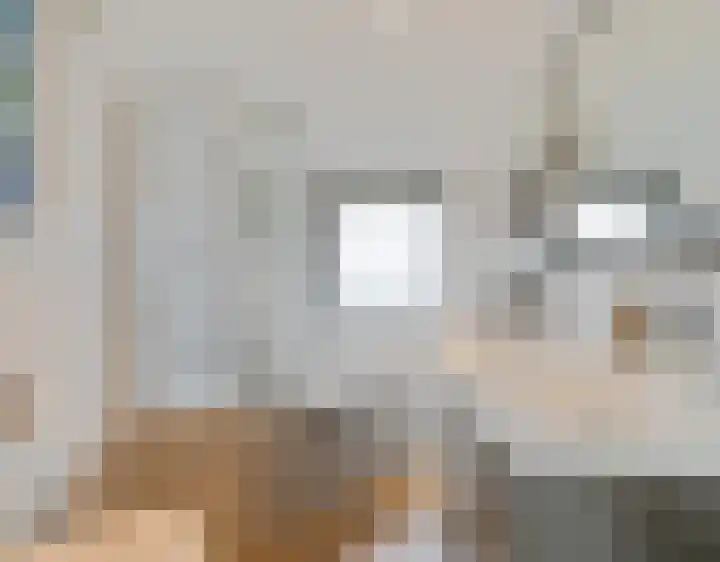 Esdoornlaan 21 Nederhorst den Berg thumbnail 47
