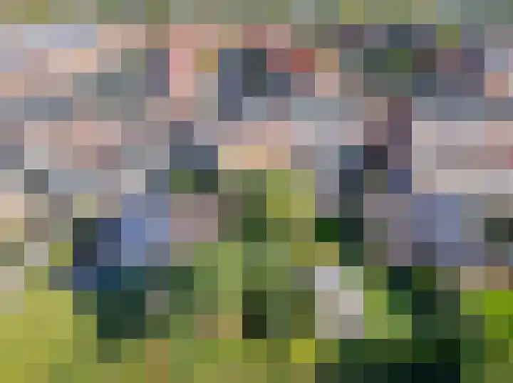 Esdoornlaan 21 Nederhorst den Berg thumbnail 50