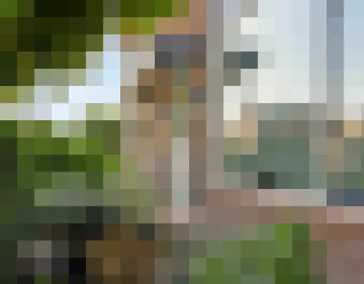 Esdoornlaan 21 Nederhorst den Berg thumbnail 7