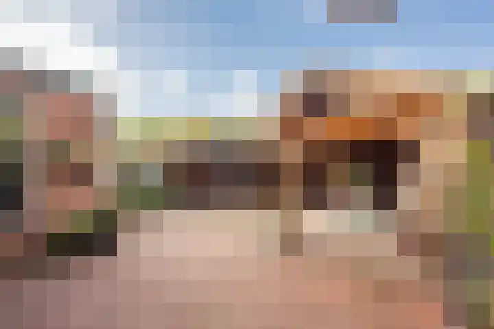 Esdoornlaan 21 Nijkerk thumbnail 10