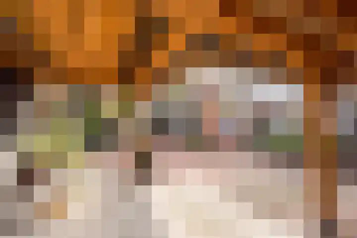 Esdoornlaan 21 Nijkerk thumbnail 11