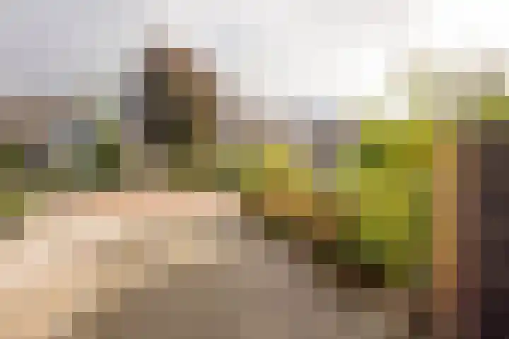 Esdoornlaan 21 Nijkerk thumbnail 12