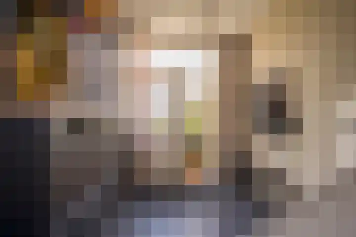 Esdoornlaan 21 Nijkerk thumbnail 14