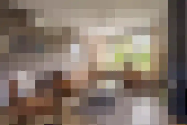 Esdoornlaan 21 Nijkerk thumbnail 16