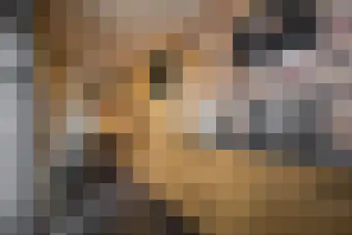 Esdoornlaan 21 Nijkerk thumbnail 22