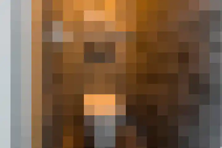 Esdoornlaan 21 Nijkerk thumbnail 24