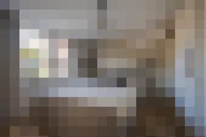 Esdoornlaan 21 Nijkerk thumbnail 26