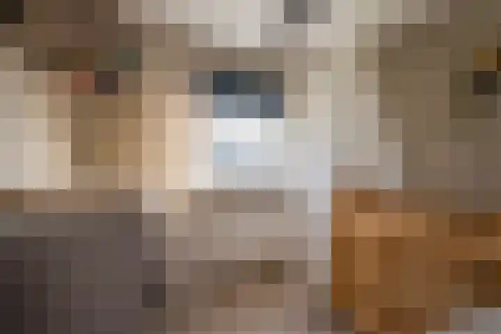 Esdoornlaan 21 Nijkerk thumbnail 30
