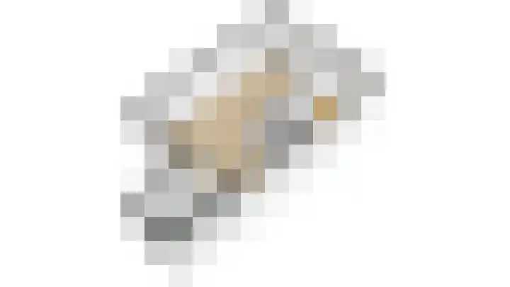 Esdoornlaan 21 Nijkerk thumbnail 41