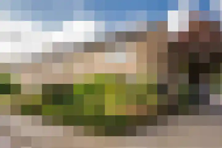 Esdoornlaan 21 Nijkerk thumbnail 5