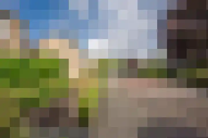 Esdoornlaan 21 Nijkerk thumbnail 6