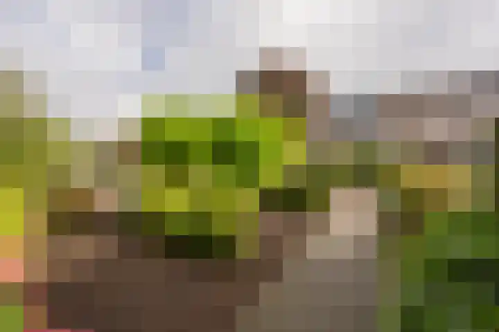 Esdoornlaan 21 Nijkerk thumbnail 7