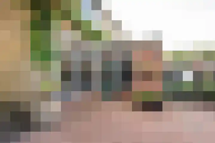 Esdoornlaan 21 Nijkerk thumbnail 8