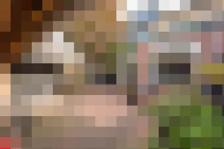 Esdoornlaan 21 Nijkerk thumbnail 9