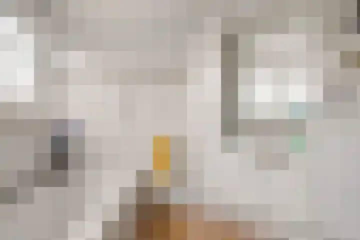 Esdoornlaan 22 Emmer-Compascuum thumbnail 28