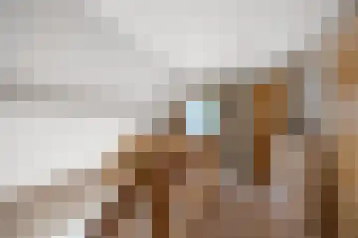 Esdoornlaan 22 Emmer-Compascuum thumbnail 29