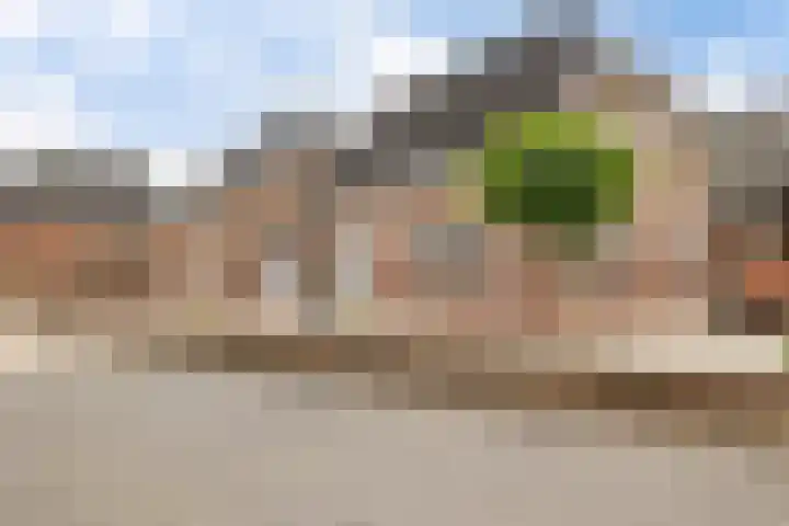 Esdoornlaan 22 Emmer-Compascuum foto 3
