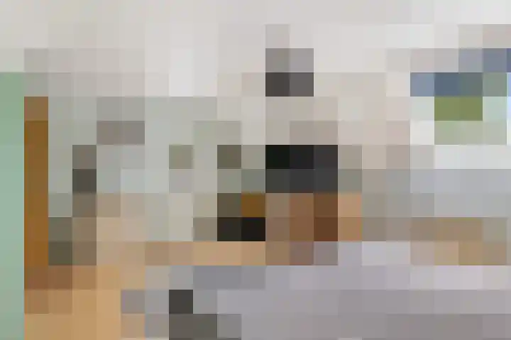 Esdoornlaan 22 Emmer-Compascuum thumbnail 33