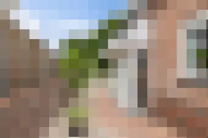 Esdoornlaan 22 Emmer-Compascuum thumbnail 40