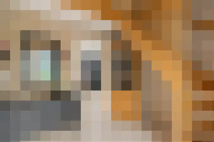 Esdoornlaan 22 Emmer-Compascuum thumbnail 5